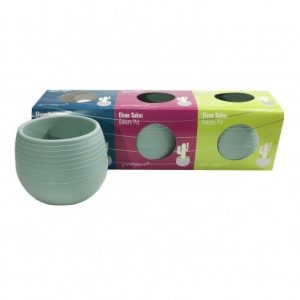 ფერადი საყვავილე   პლას